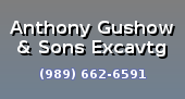 Gushow